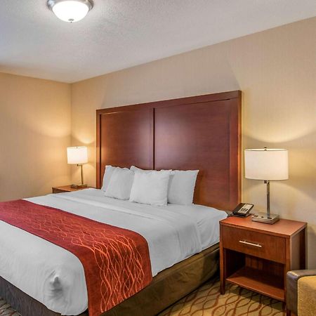 Comfort Inn Mount Shasta Area Weed Kültér fotó